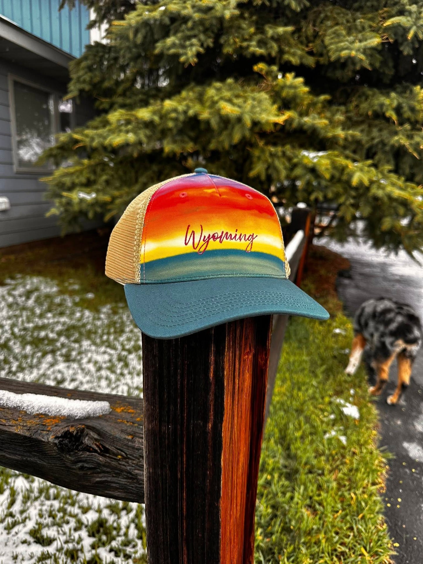 Wyoming Colors Hat
