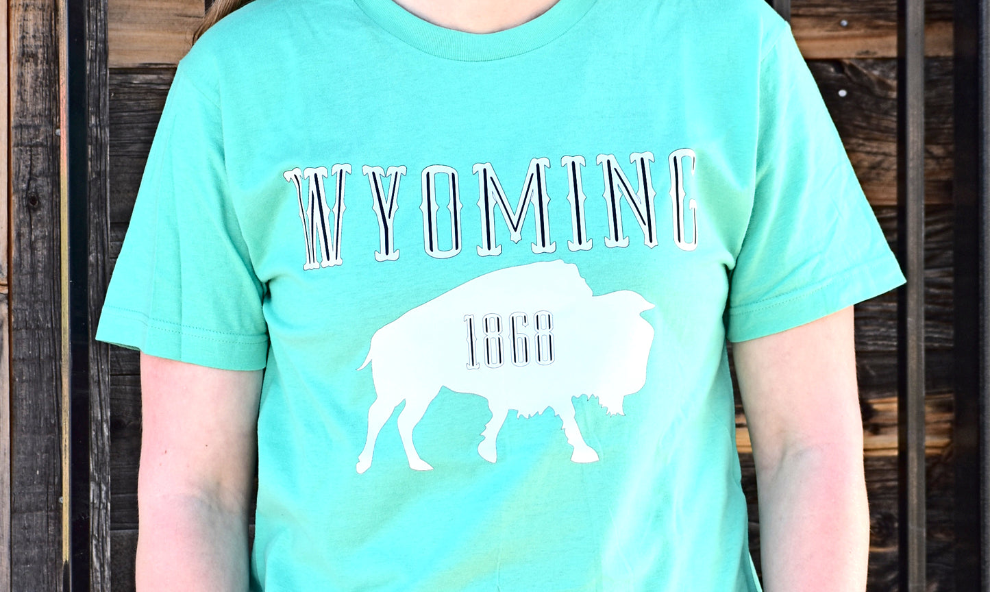 Wyoming 1868 Hoodien or T-shirt in Mint