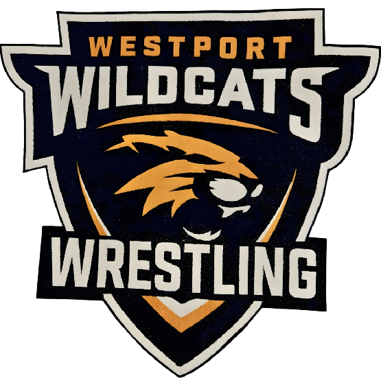 Wildcats DTF Transfer