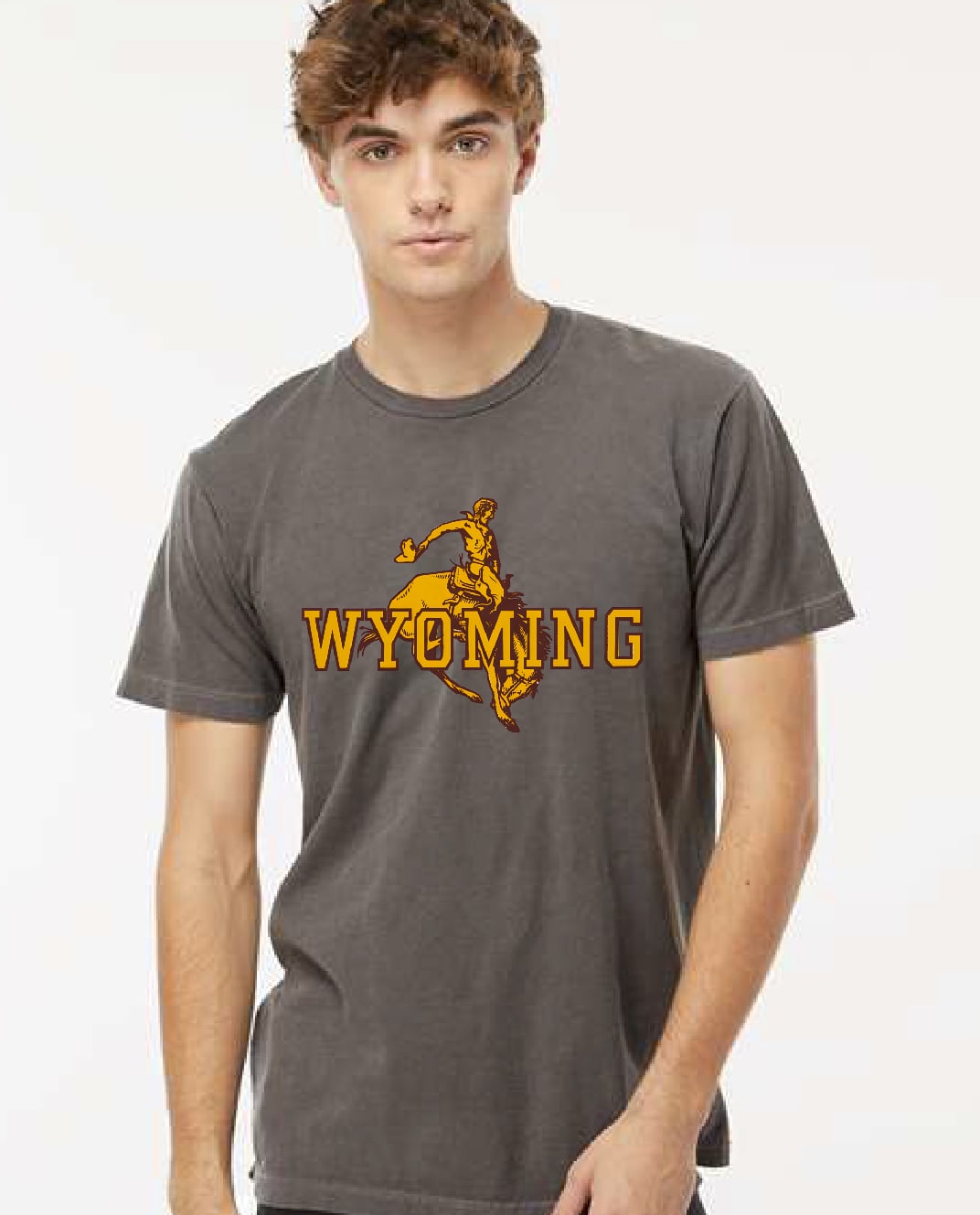Wyoming T-shirt or Hoodie