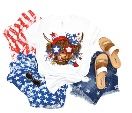 1188 4th of July Highland DTF or Sublimation transfers