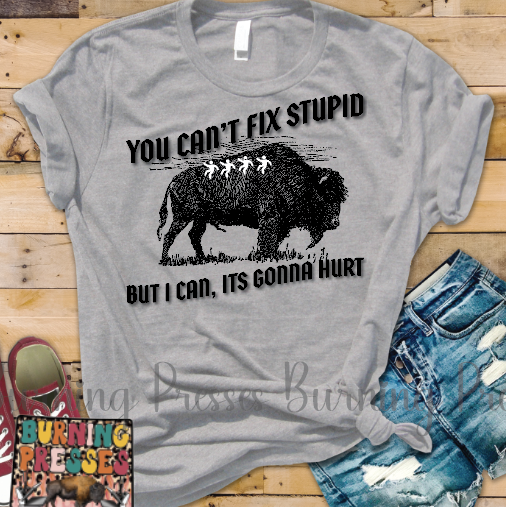 You can't fix stupid but I can, its gonna hurt T-shirt