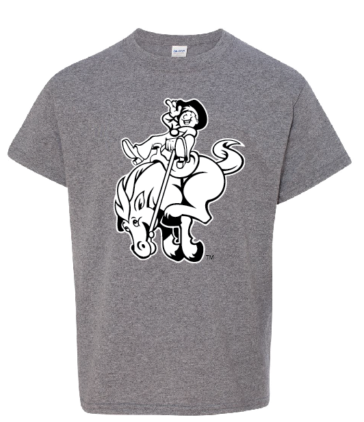 Wyoming Cowboy Youth Hoodie or T-Shirt