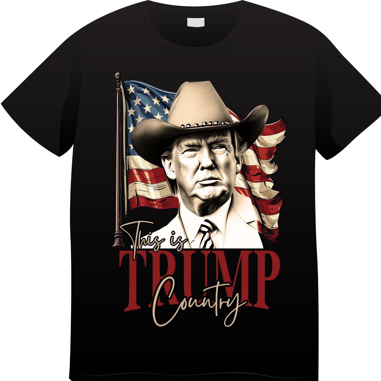 3109 Trump Country Sublimation/DTF Transfer