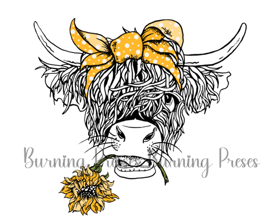 UV1 DTF Highland Sunflower Cow Decal