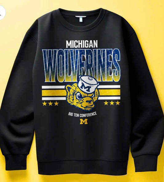 C12 Michigan Sports Sublimation/DTF Transfer