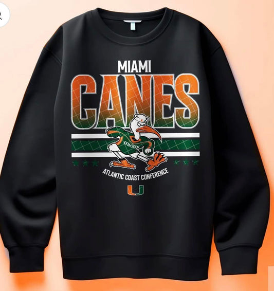 C6 Miami Sports Sublimation/DTF Transfer