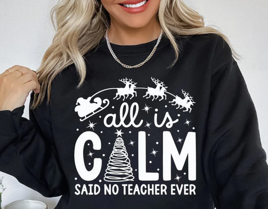 SS206 All is calm said no teacher ever